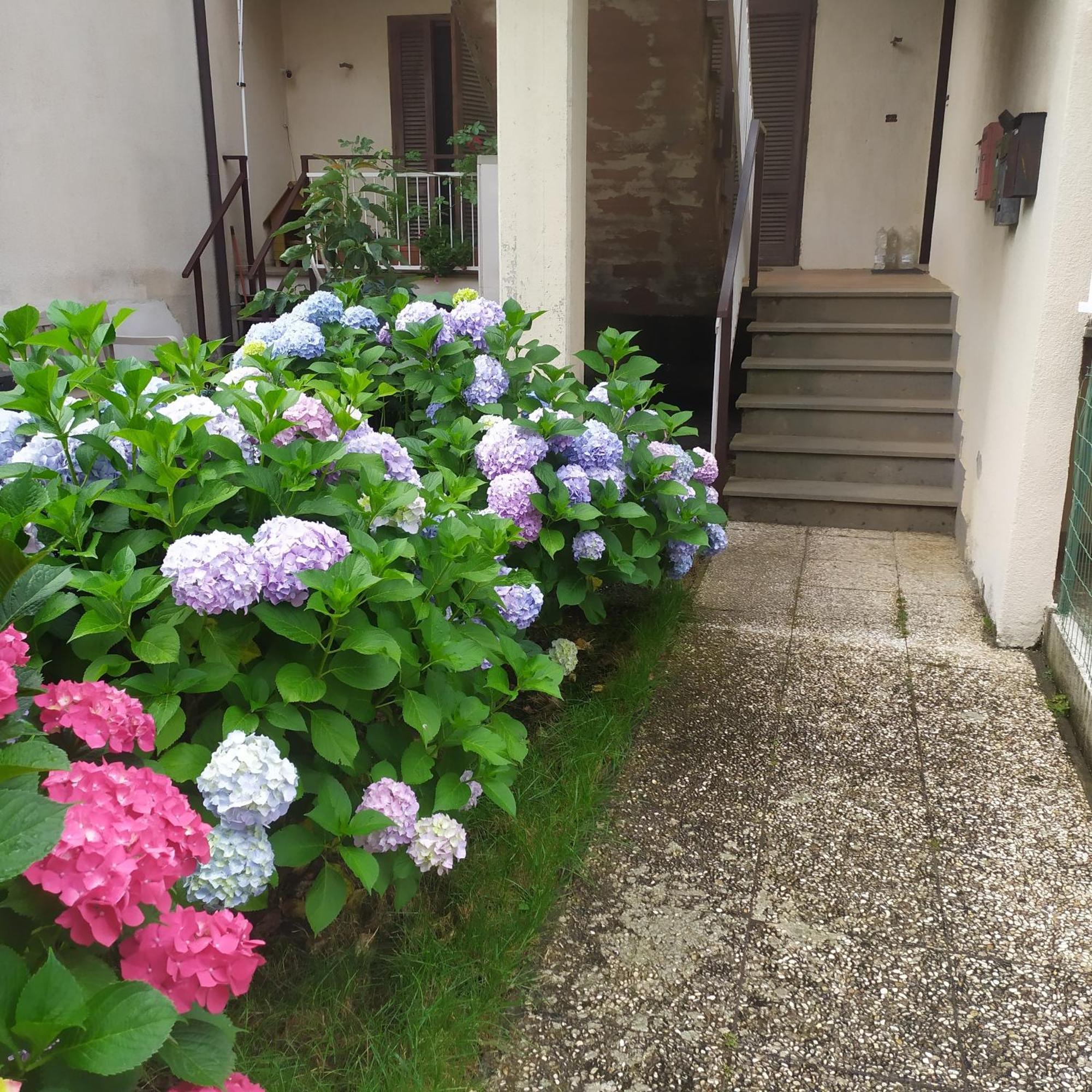 Apartment Santa Maria Μπολσένα Εξωτερικό φωτογραφία